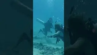 This is why I’m not fond of scuba divers 