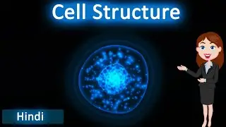 cell structure || 3D animated explanation || class 9th & 11th science || how are organism made of ||