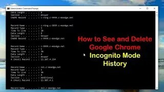 How to See and Delete Google Chrome Incognito History