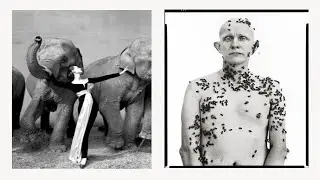 How Portrait Photography LEGENDS Take Amazing Photos 