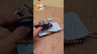 Инженер прикололся и отшле пал мышку