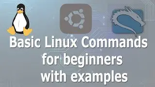 Basic Linux Commands for beginners with examples