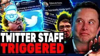 Twitter Employees RAGE Online About Elon Musk Purchase! Rumors Of A Full Buyout Surface!