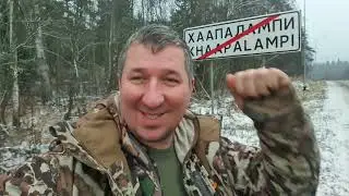 Охота на лося. Карелия