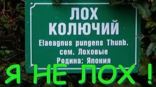 Я НЕ ЛОХ! / СБЕРБАНК /смс /Капитальный ремонт / №1