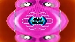 New ZooPals 2 in G Major Mirror Top