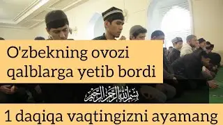 Mishari Abdullohdan go'zal qiroat. Al Ahzab 35-oyat.