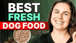 Best Fresh Dog Food Delivery Services: Brutally Honest Review 2024