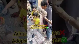 DETIK DETIK DISTA ADOPSI BURUNG HANTU😰😰 TAKUT MALAMNYA 