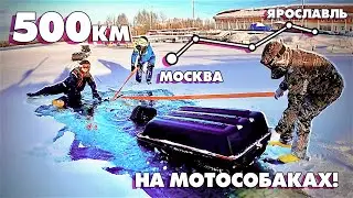 УТОПИЛИ БУКСИРОВЩИК!!! 500км на МОТОСОБАКАХ! Из Москвы в Ярославль с ПРИКЛЮЧЕНИЯМИ! Серия 2