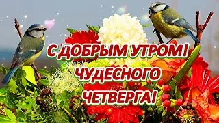 С ДОБРЫМ УТРОМ!💖 ЧУДЕСНОГО  ЧЕТВЕРГА! 💖 ЗДОРОВЬЯ, РАДОСТИ,💖 ЛЮБВИ И ХОРОШИХ НОВОСТЕЙ СЕГОДНЯ!😘🍓🍓🍓