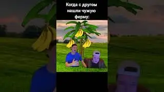 10 июня 2024 г.