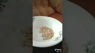 Как чистят семечки в разных возрастах