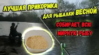 Лучшая прикормка для рыбалки весной соберет всю мирную рыбу
