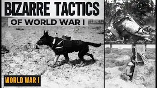 Weirdest Weapons and Tactics of World War I