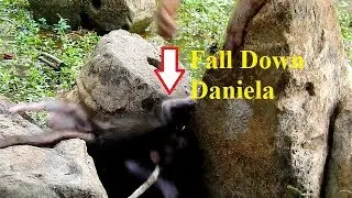 OMG! Why Ashley Careless Poor Baby Daniela Fall Down To Hole Stone Like This?