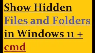 Show hidden Files and Folders Windows 11