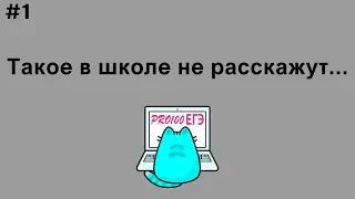 Очень неприятная ситуация на ЕГЭ 2023 по информатике