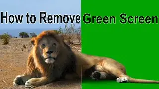 How To Remove Green Screen In Adobe After Effects Cc Tutorial 🏻 Remove Green Screen In After Effects