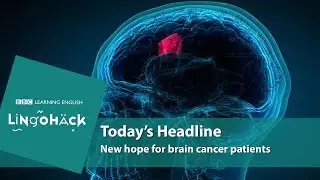 New hope for brain cancer patients: Lingohack