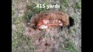 Ohio Groundhog hunting 2014 #1