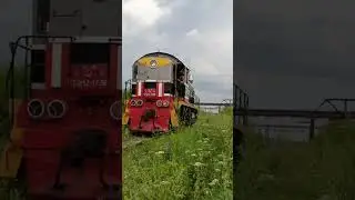 ТЭМ2-1739 СЛЕДУЕТ РЕЗЕРВОМ #train #rail #railway