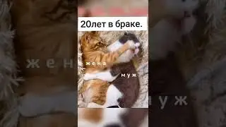 20 лет в браке