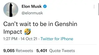 Elon Musk in Genshin impact!!!