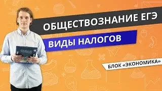 ЕГЭ ОБЩЕСТВОЗНАНИЕ | Виды налогов | Видеоурок