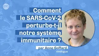 Comment le SARS-CoV-2 perturbe-t-il notre système immunitaire ? | 