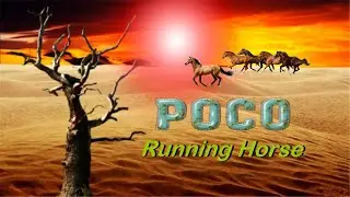 Poco -  Running Horse HQ