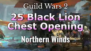 25 Black Lion Chest Opening - Northern Winds - Guild Wars 2 | JessTheStardustCharr