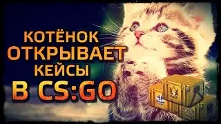 КОТЁНОК ОТКРЫВАЕТ КЕЙСЫ В CS:GO