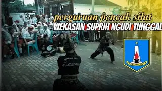 dua pesilat cilik atraksi seni pencak silat wekasan Suprih Ngudi tunggal, cabang kab Ketapang