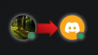 How To Get Default Discord Avatar (Remove PFP)