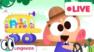 Lingokids ABC Songs, Wheels on the BUS & Old MacDonald FUN 💙🎶