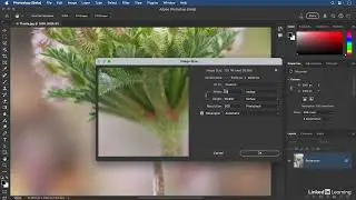 16  Using Image Size to change document dimensions Photoshop 2024