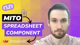 Introducing the Mito Streamlit component