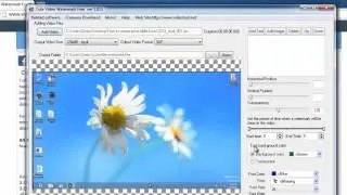 How to Add a Watermark to Your Video
