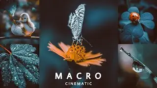 Macro Cinematic Preset - Lightroom Mobile Presets Free Download | Dark Moody Preset