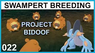 Breeding a Choice Band Swampert! - Project Bidoof Part 22 - Pokemon Breeding Guide