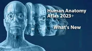 Whats New in Human Anatomy Atlas 2023＋?