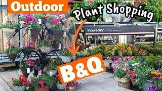 B&Q  Garden Center Tour UK  🇬🇧 | Houseplants and Outdoor Plants 2024  |