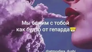 Правда ! Покорила меня сука твоя правда ! Мы бежим с тобой когбудто от гепарда...