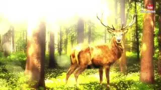 Очень Красивая Кельтская Музыка Для Медитации И Релаксации Relaxing Celtic Music