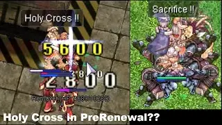 Holy Cross Crusader Martyr's Sacrifice Paladin - Flee VIT Tank - NO DL - Auto Berserk - PreRenewal
