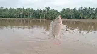 SUNGGUH DI LUAR DUGAAN IKAN NYA SANGAT BANYAK