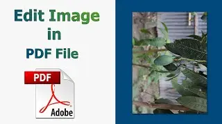 How to edit images in a PDF File using adobe acrobat pro dc