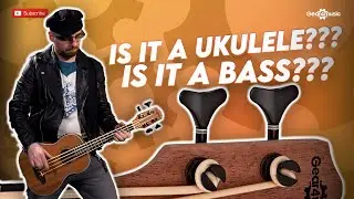 3 Reasons why you should try a Ukulele Bass! | Gear4music Guitars