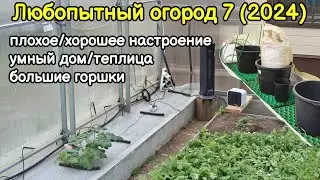 Любопытный огород 7 (2024)